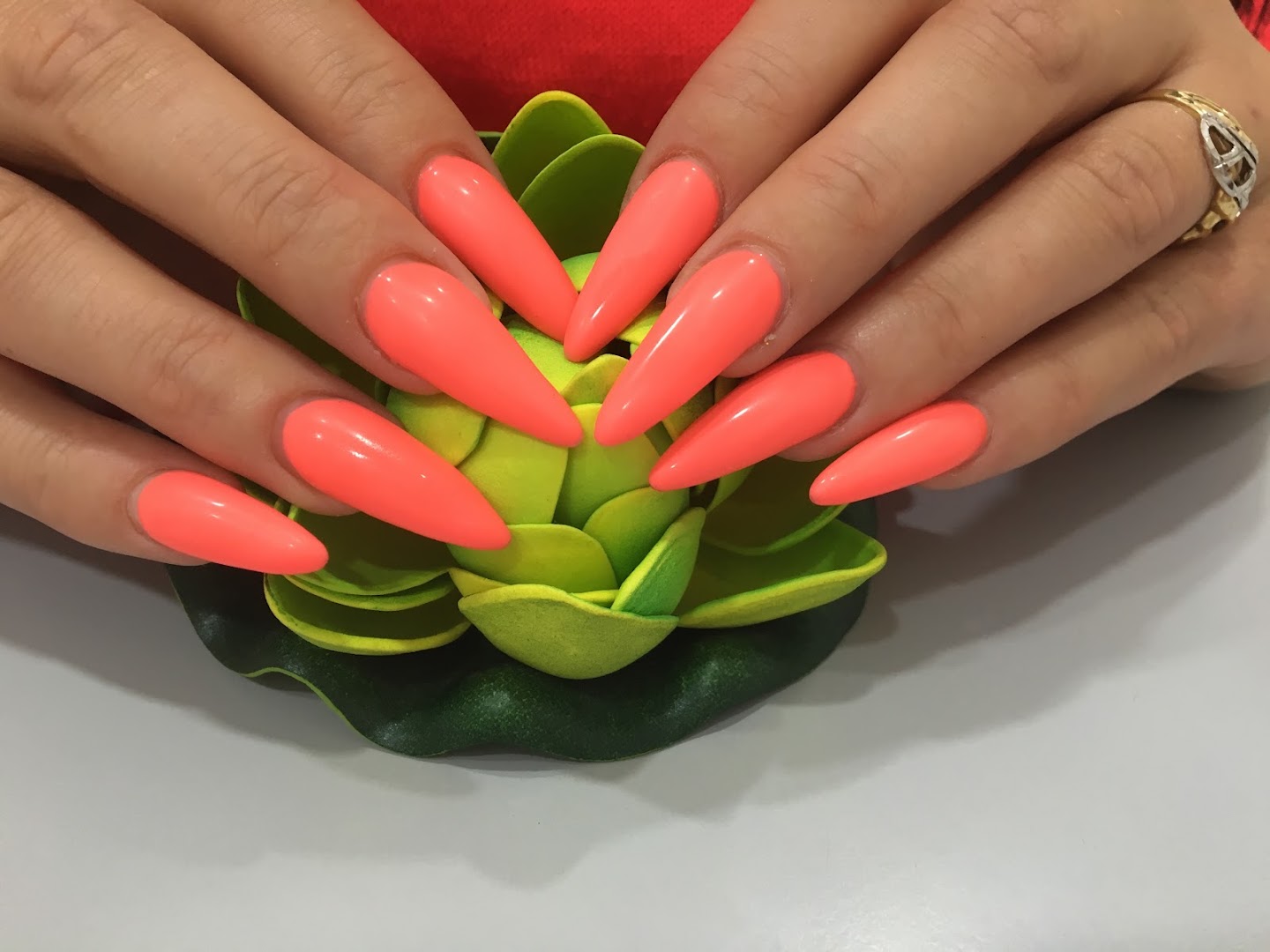Corporea beauty spa · Foto 1